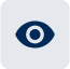 Vision Icon